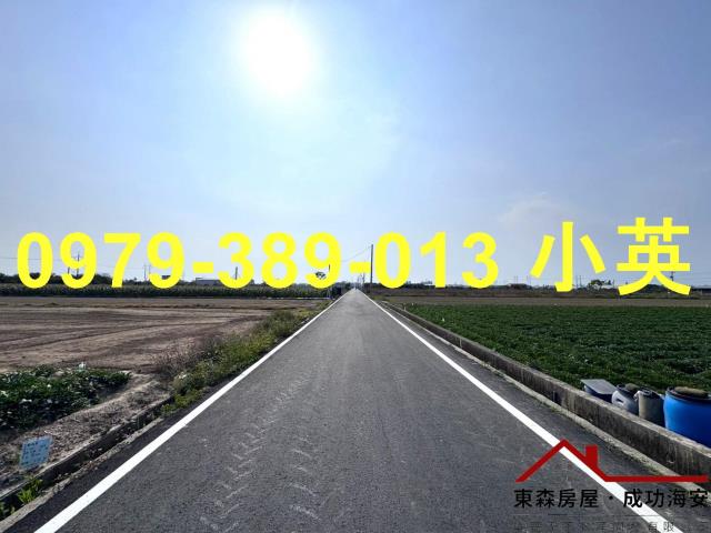 台南新市農地-12