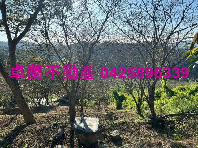 苗栗卓蘭農地-2