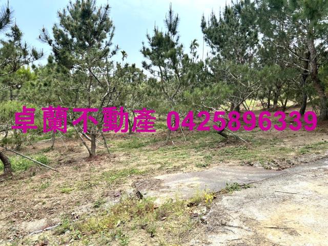 苗栗卓蘭農地-9