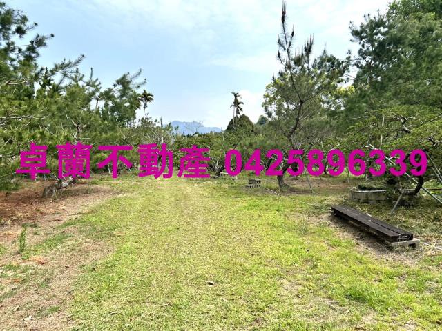 苗栗卓蘭農地-6