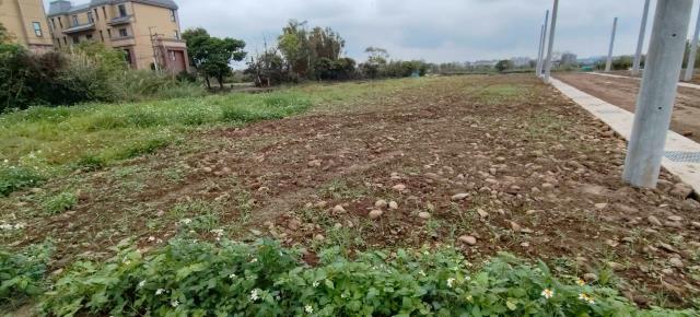 桃園平鎮農地-2