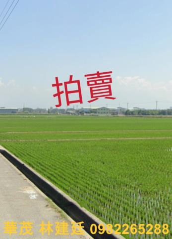嘉義大林法拍農地-1