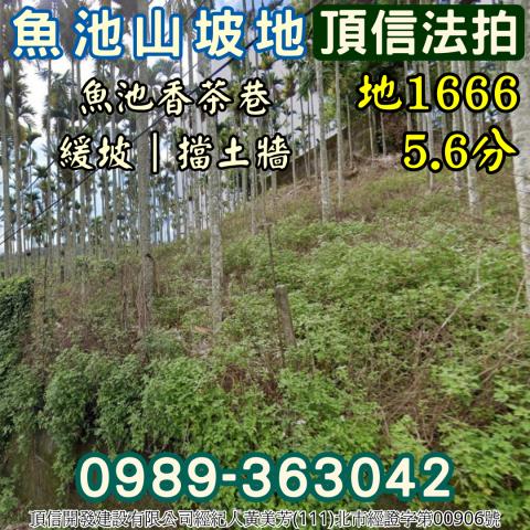 南投魚池法拍農地_山坡地-5