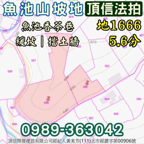 南投魚池法拍農地_山坡地-6