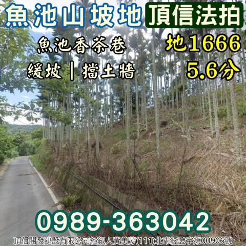 南投魚池法拍農地_山坡地-2