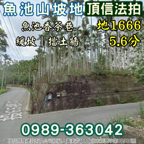 南投魚池法拍農地_山坡地-3