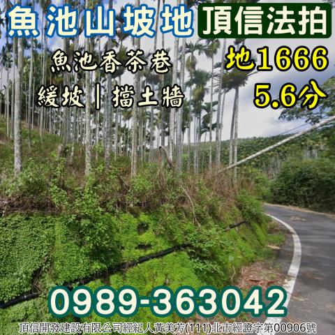 南投魚池法拍農地_山坡地-4