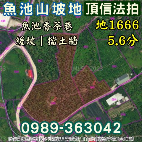 南投魚池法拍農地_山坡地-7