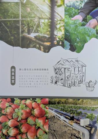 橫山農地_休閒地-4