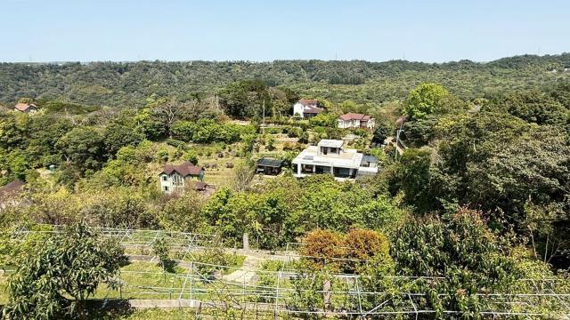 關西農地_山坡地-12