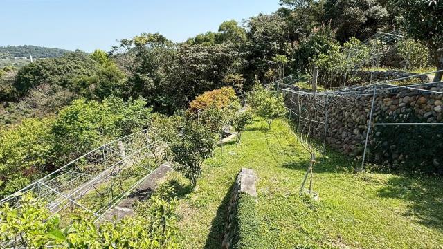 關西農地_山坡地-13