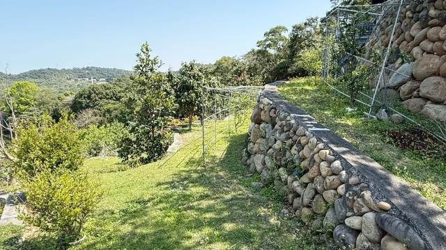 關西農地_山坡地-14