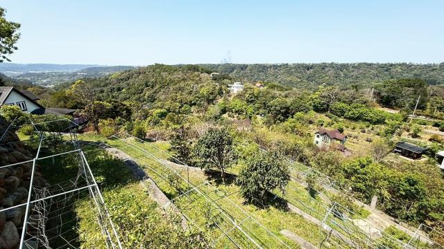 關西農地_山坡地-15