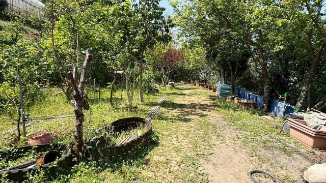 關西農地_山坡地-8