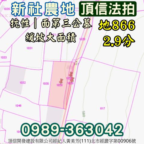 新社拍賣農地-3