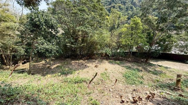 關西農地_山坡地-10