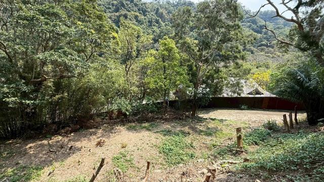 關西農地_山坡地-11