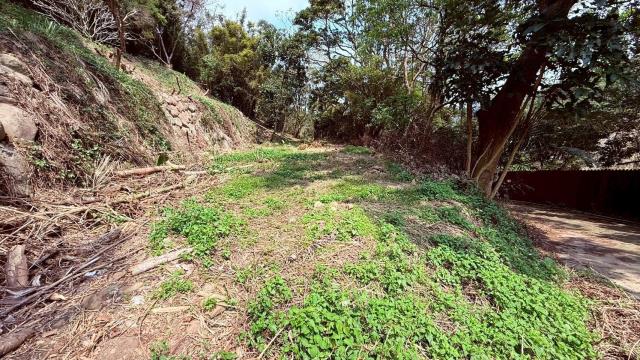 關西農地_山坡地-12