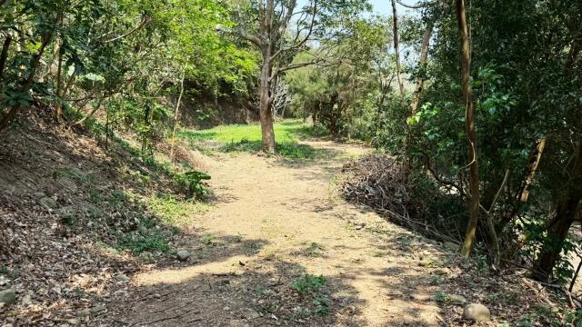 關西農地_山坡地-3