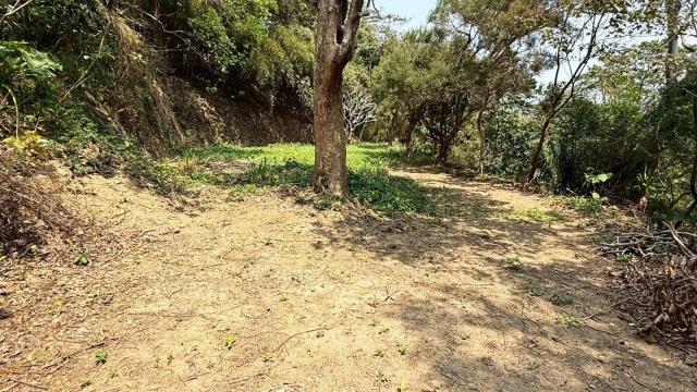 關西農地_山坡地-4