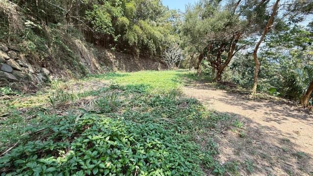 關西農地_山坡地-5