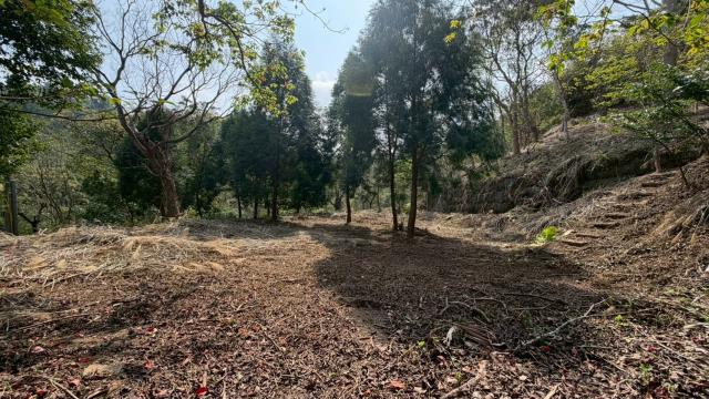 新竹北埔農地-4