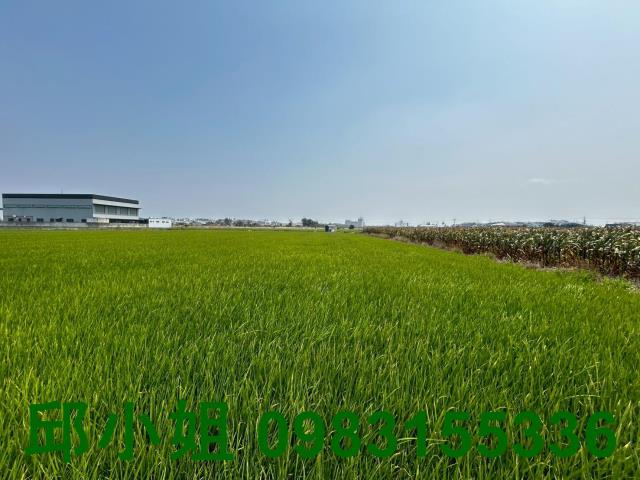 嘉義水上農地-1