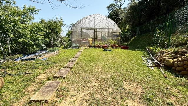 新竹關西農地-10