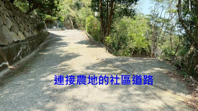 新竹關西農地-14