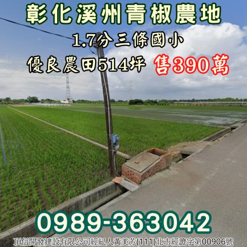 彰化溪州農地_休閒地-1