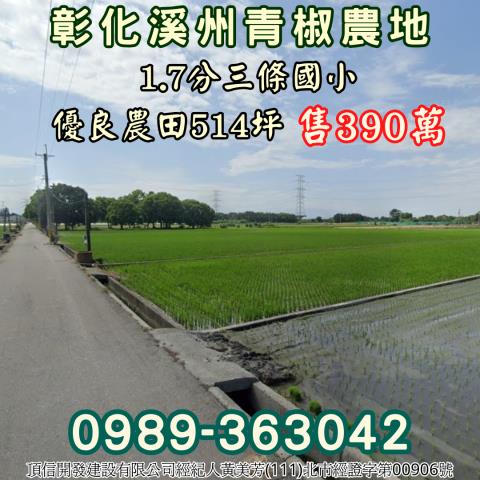 彰化溪州農地_休閒地-2