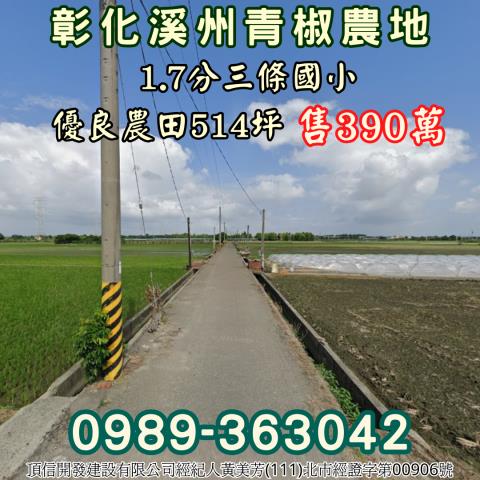 彰化溪州農地_休閒地-3