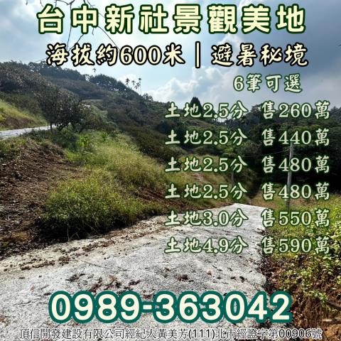 台中新社農地_山坡地_休閒地-10