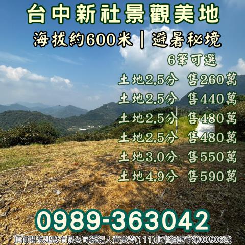 台中新社農地_山坡地_休閒地-11