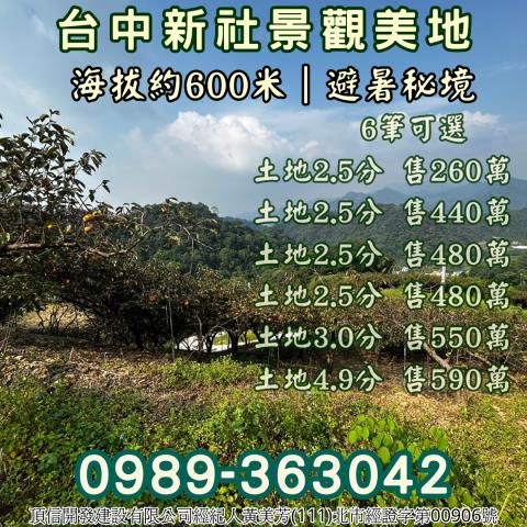 台中新社農地_山坡地_休閒地-12