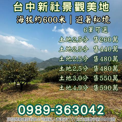 台中新社農地_山坡地_休閒地-13