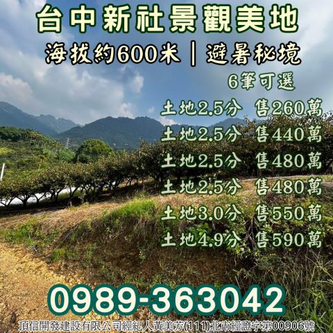 台中新社農地_山坡地_休閒地-14