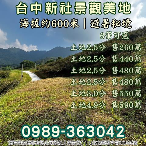 台中新社農地_山坡地_休閒地-15