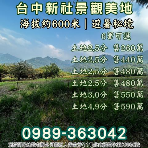 台中新社農地_山坡地_休閒地-2