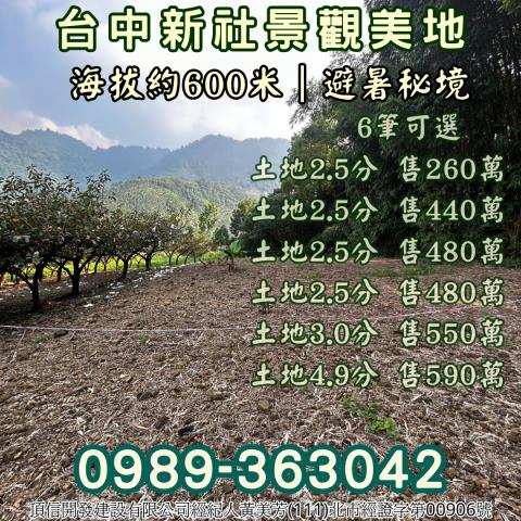 台中新社農地_山坡地_休閒地-3