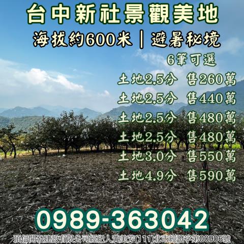 台中新社農地_山坡地_休閒地-6