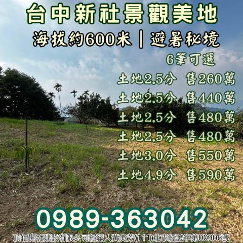 台中新社農地_山坡地_休閒地-7