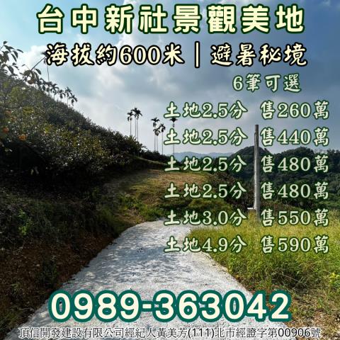 台中新社農地_山坡地_休閒地-8