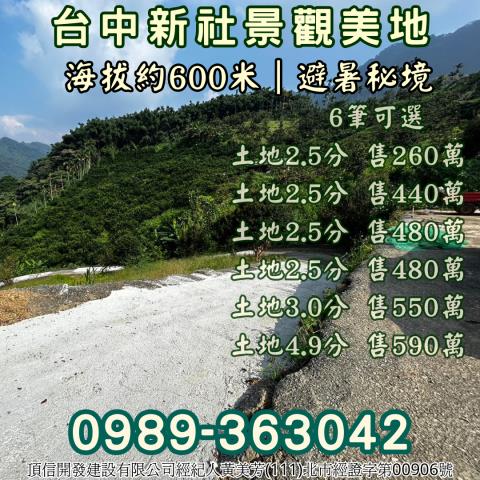 台中新社農地_山坡地_休閒地-9