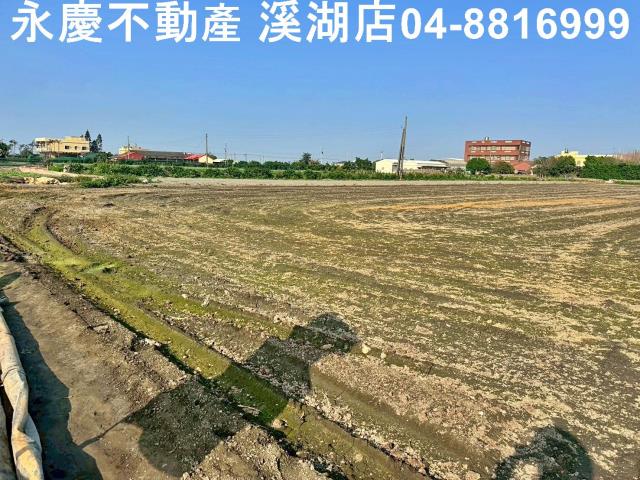 芳苑農地-12