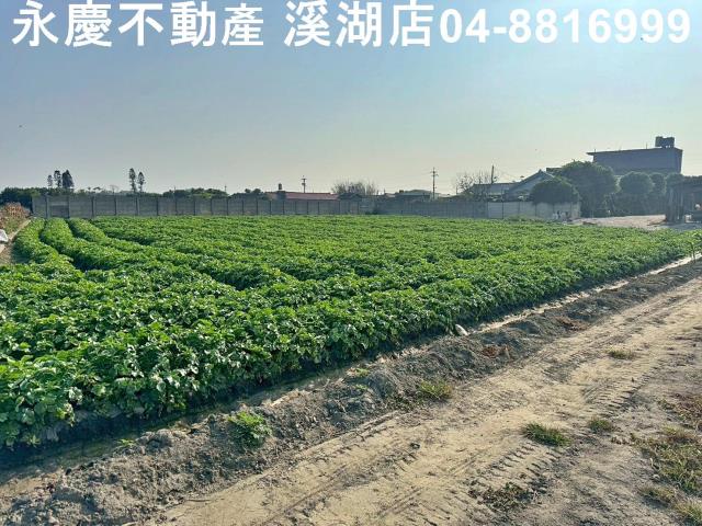 芳苑農地-6