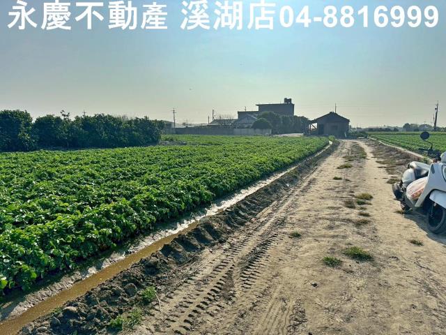 芳苑農地-9