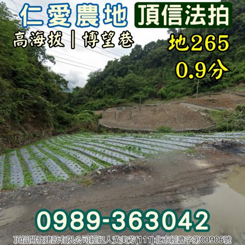 仁愛鄉法拍農地-2