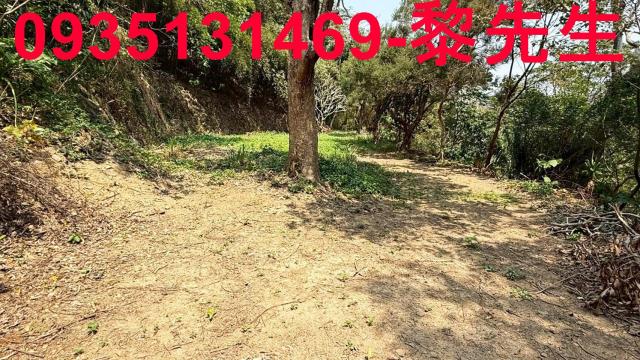 關西農地_道路用地-11