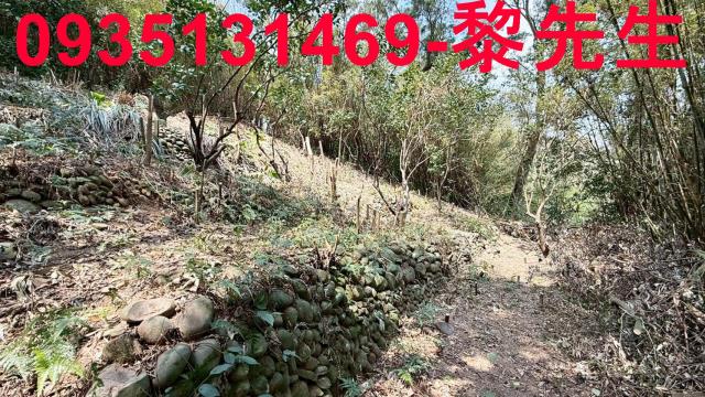 關西農地_道路用地-3